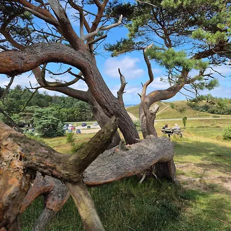 度假居 Luxury Retreat With Pool - By Traum